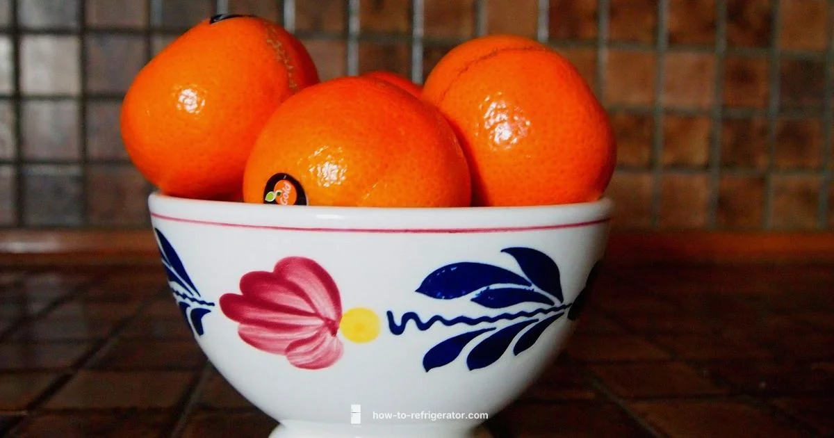 Fridge Fire Safety Fridge Fire Safety - How To Refrigerator