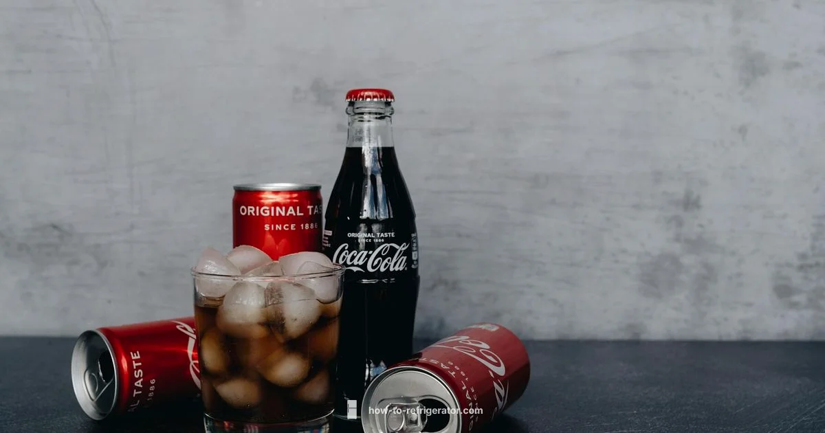 Probiotic Fridge Guide Probiotic Fridge Guide - How To Refrigerator