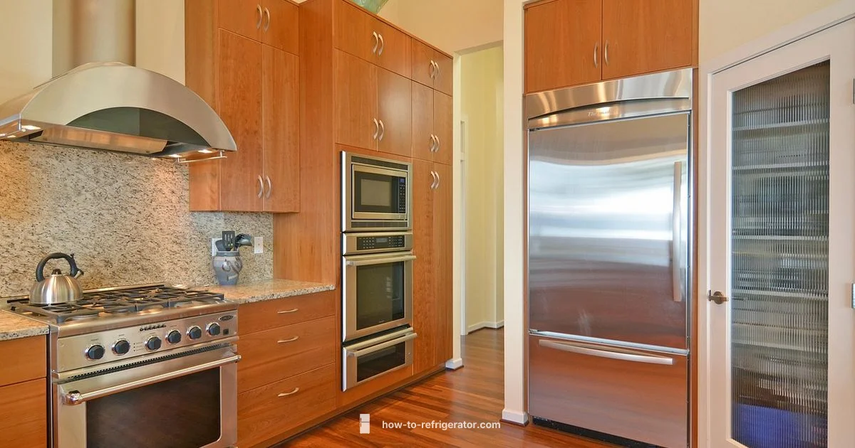 Best Fridge Guide Best Fridge Guide - How To Refrigerator