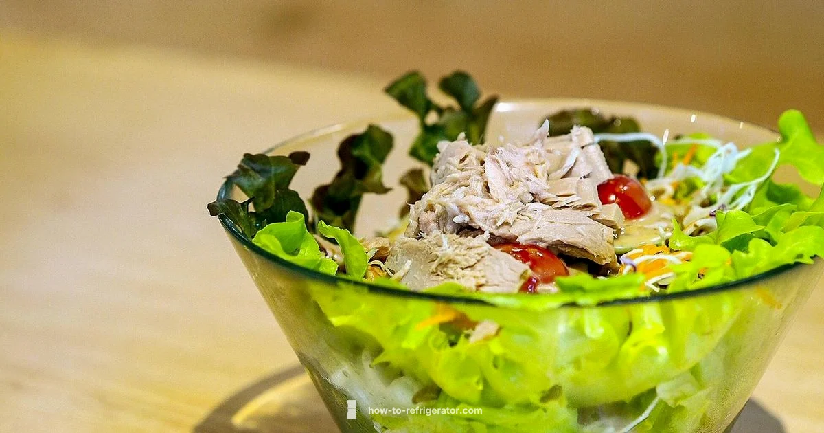 Tuna Salad Guide - How To Refrigerator