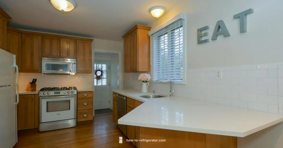 Fridge Troubles? Quick Fix Fridge Troubles? Quick Fix - How To Refrigerator