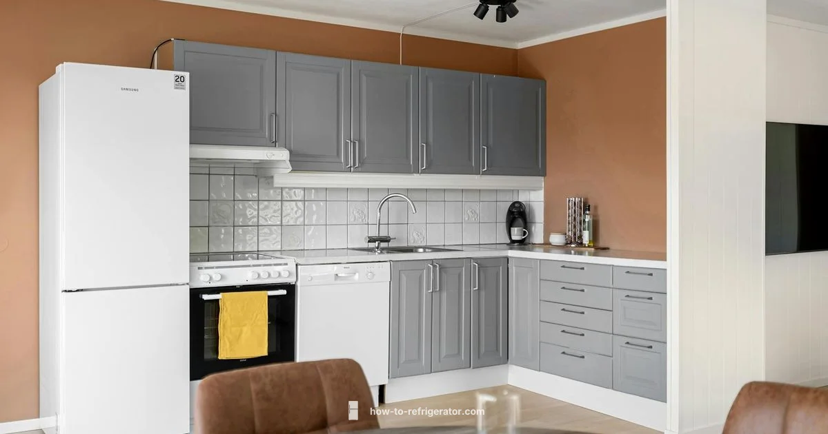 Energy Efficient Fridges - How To Refrigerator