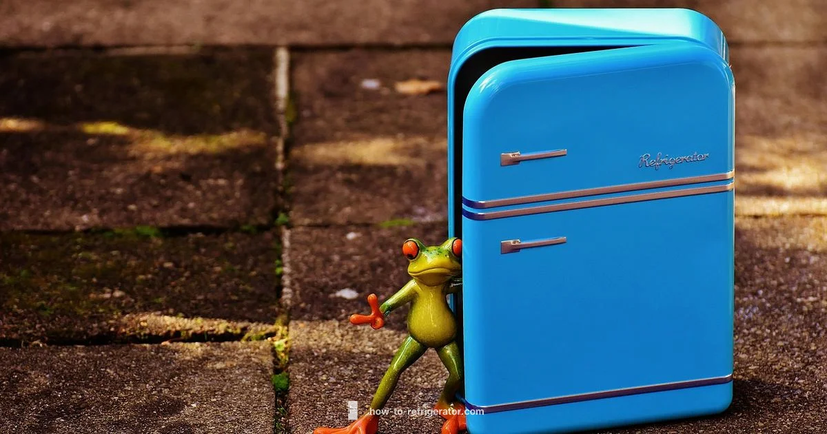 Moving a Fridge Safely Moving a Fridge Safely - How To Refrigerator