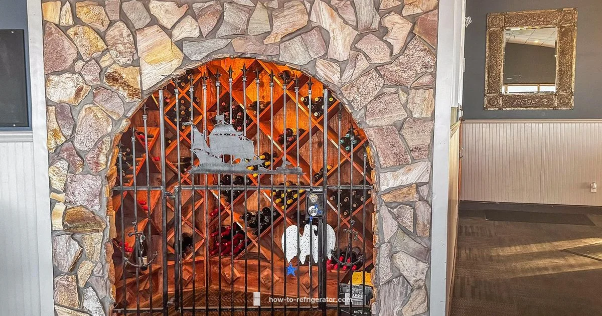 Under Counter Wine Fridge - How To Refrigerator