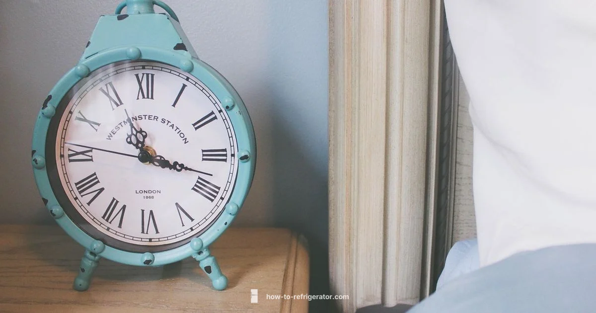 Bedroom Mini Fridge Guide Bedroom Mini Fridge Guide - How To Refrigerator