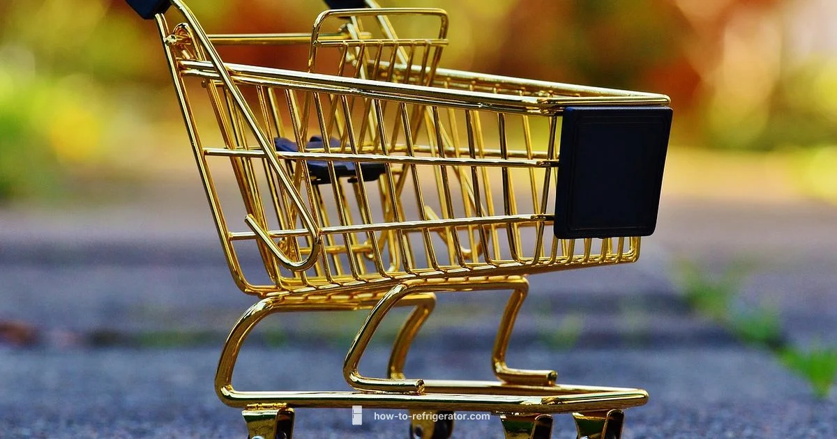 Fridge Buy Guide - How To Refrigerator