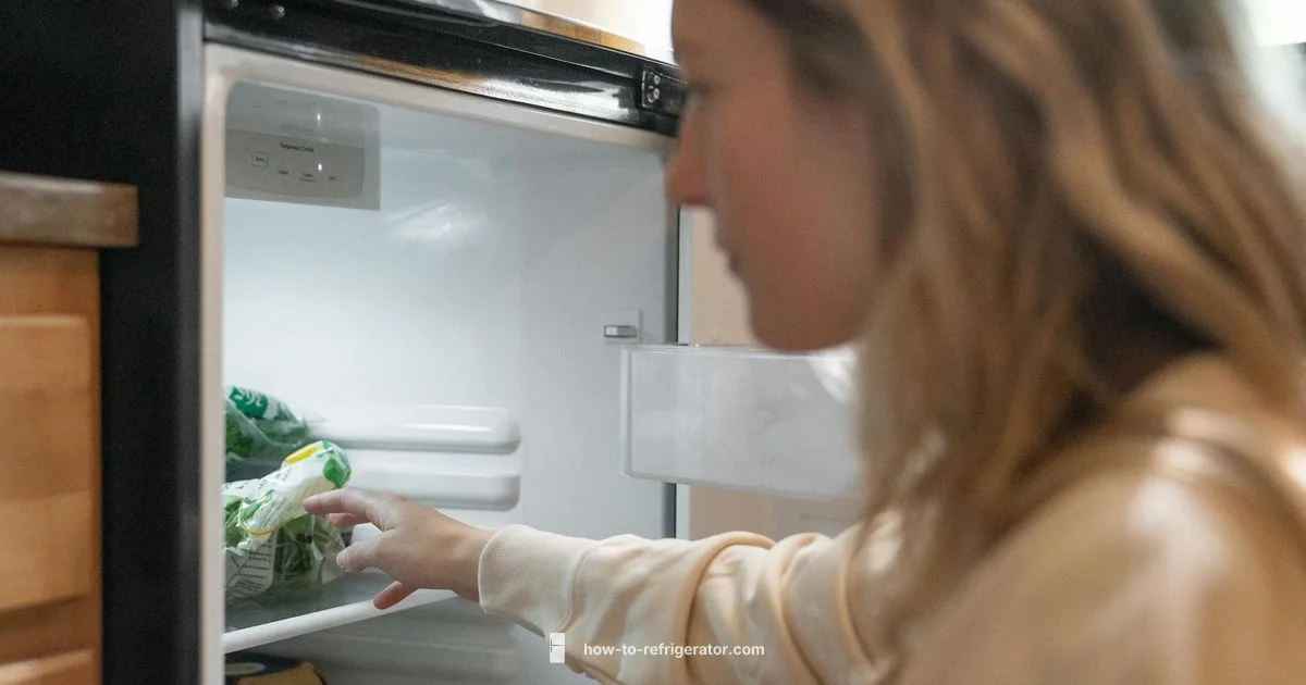 Fridge Cancer Myth - How To Refrigerator