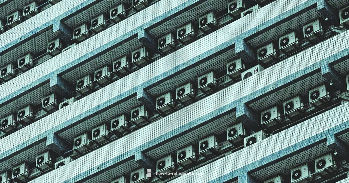 Refrigeration Guide - How To Refrigerator