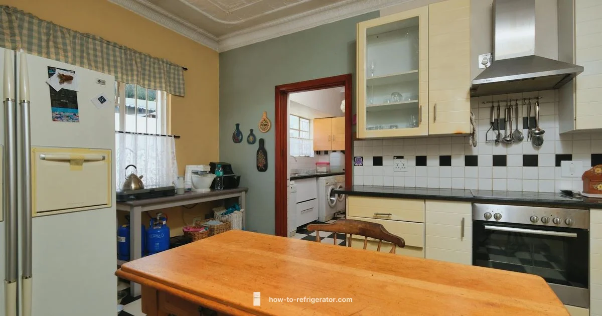 Refrigerator History - How To Refrigerator