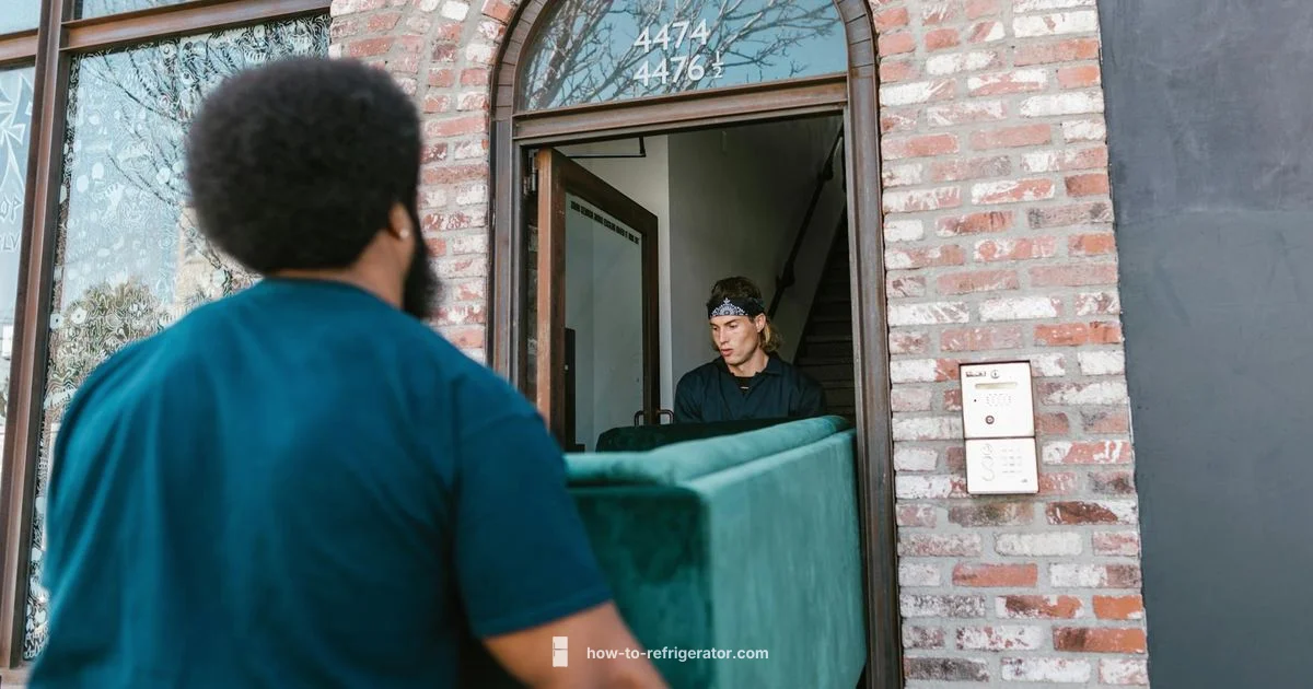 Safe Fridge Move Safe Fridge Move - How To Refrigerator