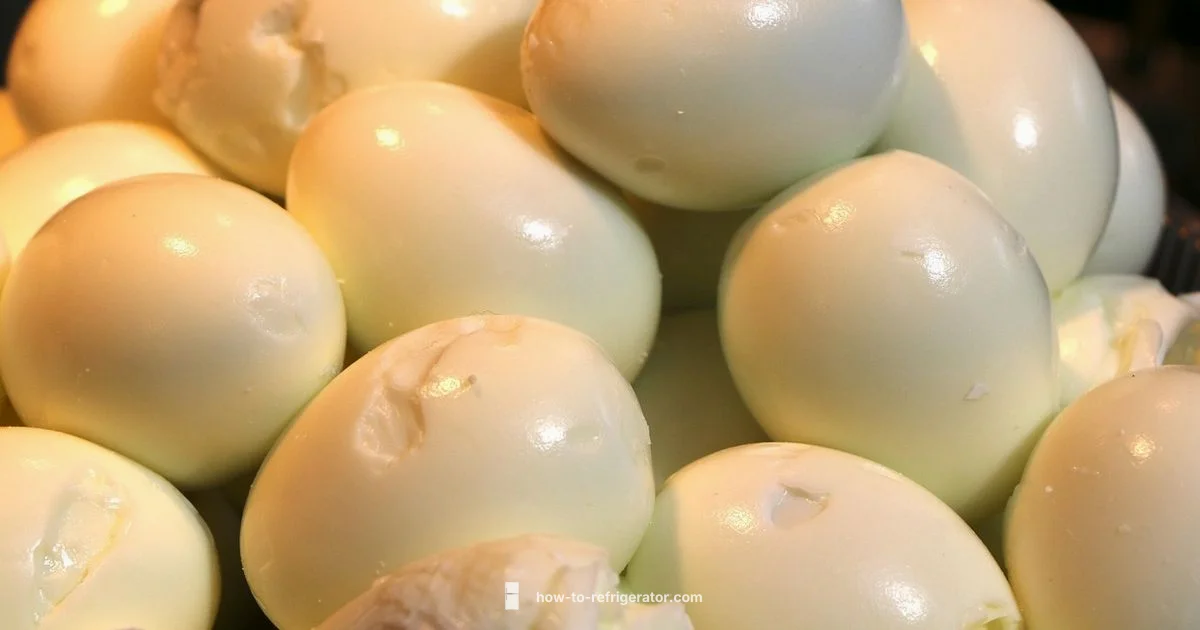 Egg Shelf Life Egg Shelf Life - How To Refrigerator