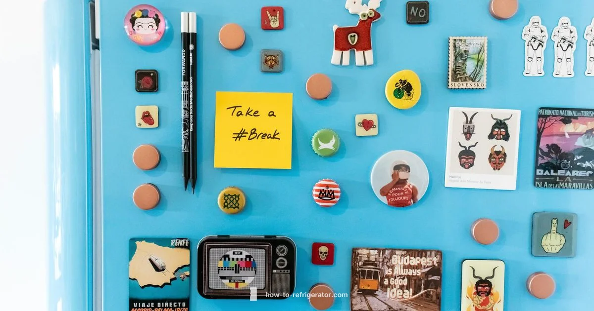 Fridge Magnetics - How To Refrigerator