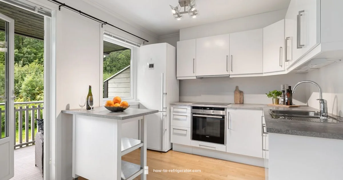 Fridge Buying Guide - How To Refrigerator