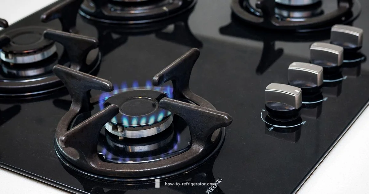 Gas in Fridges - How To Refrigerator