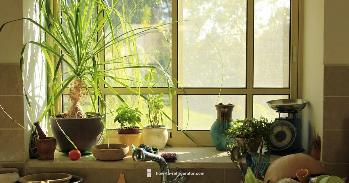 Side by Side Guide - How To Refrigerator