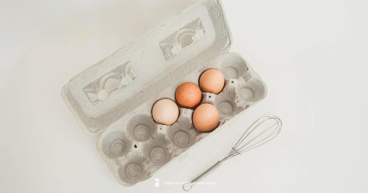 Refrigeration Health Guide - How To Refrigerator