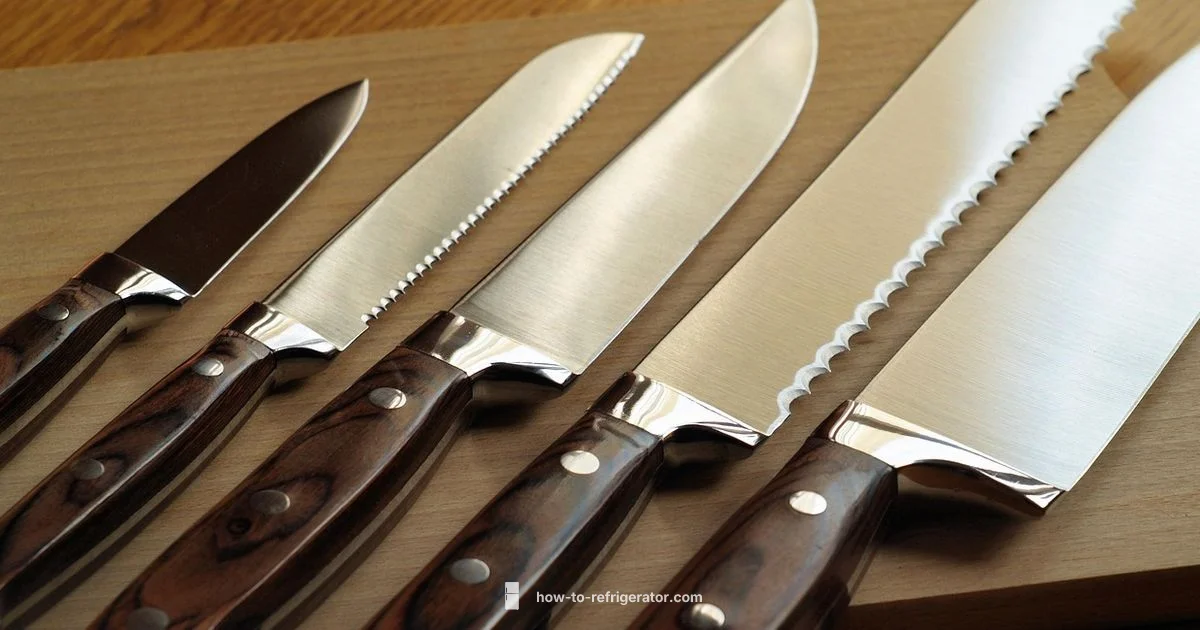 Premium Fridges Guide - How To Refrigerator