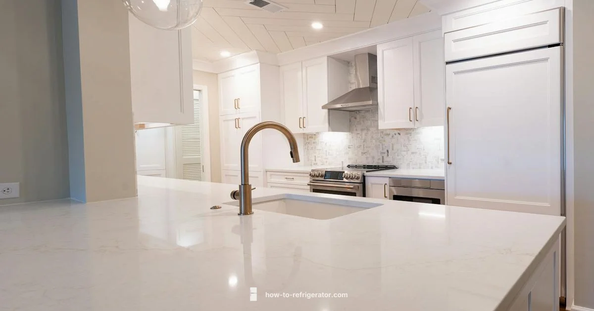 Fridge Maintenance Guide - How To Refrigerator