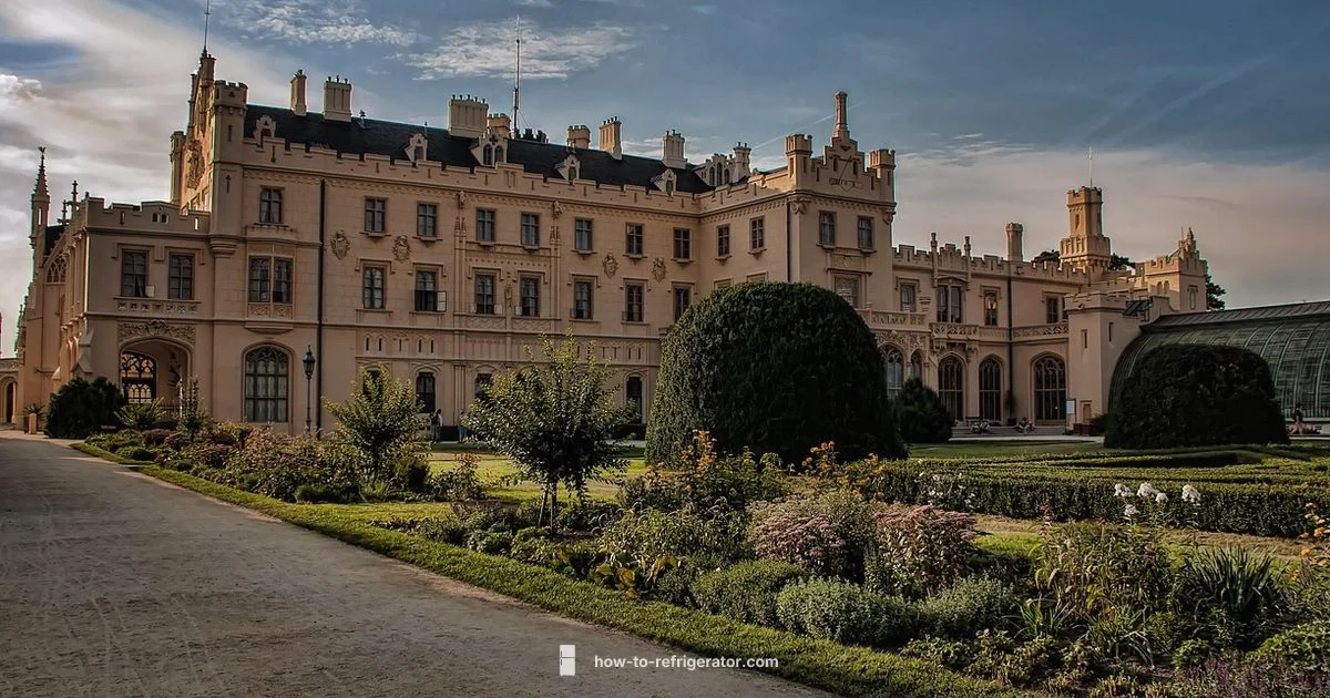 Fridge Organization - How To Refrigerator