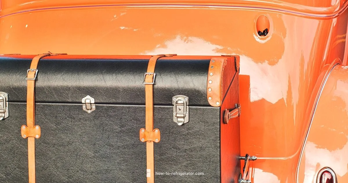 Car Fridge Move - How To Refrigerator