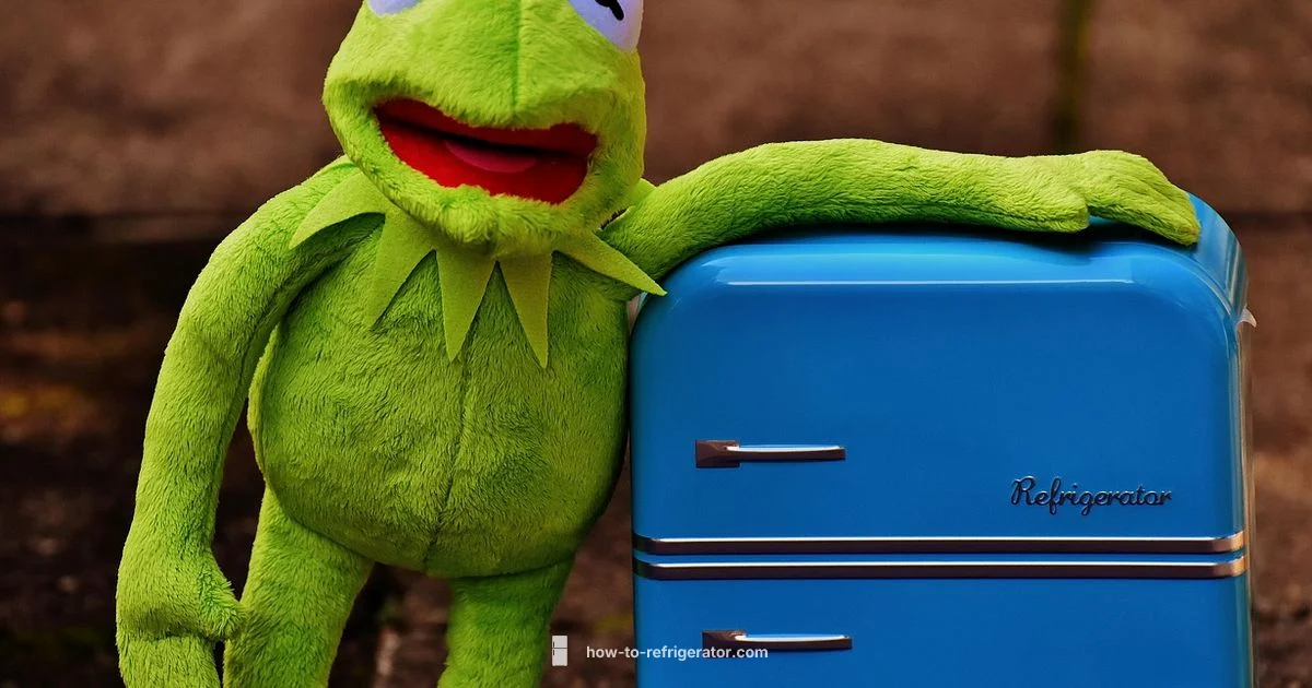 Best Fridge Guide - How To Refrigerator