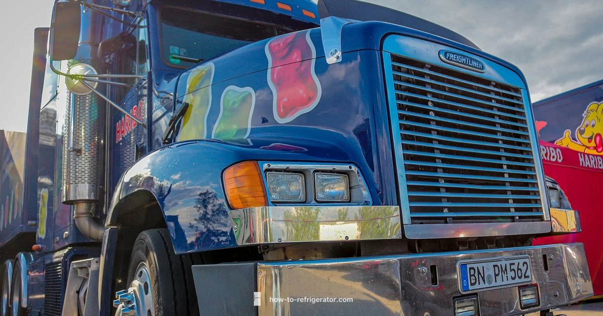 Truck Fridge Troubleshooter - How To Refrigerator