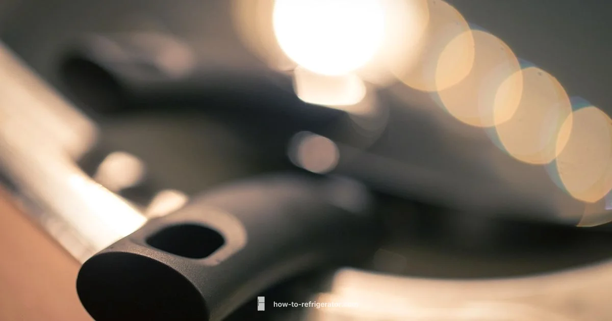 Fridge Health Guide - How To Refrigerator