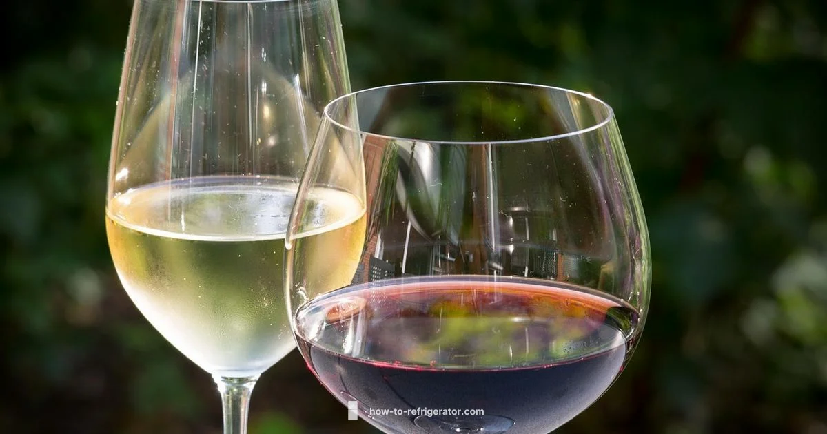 Wine Fridge Guide - How To Refrigerator