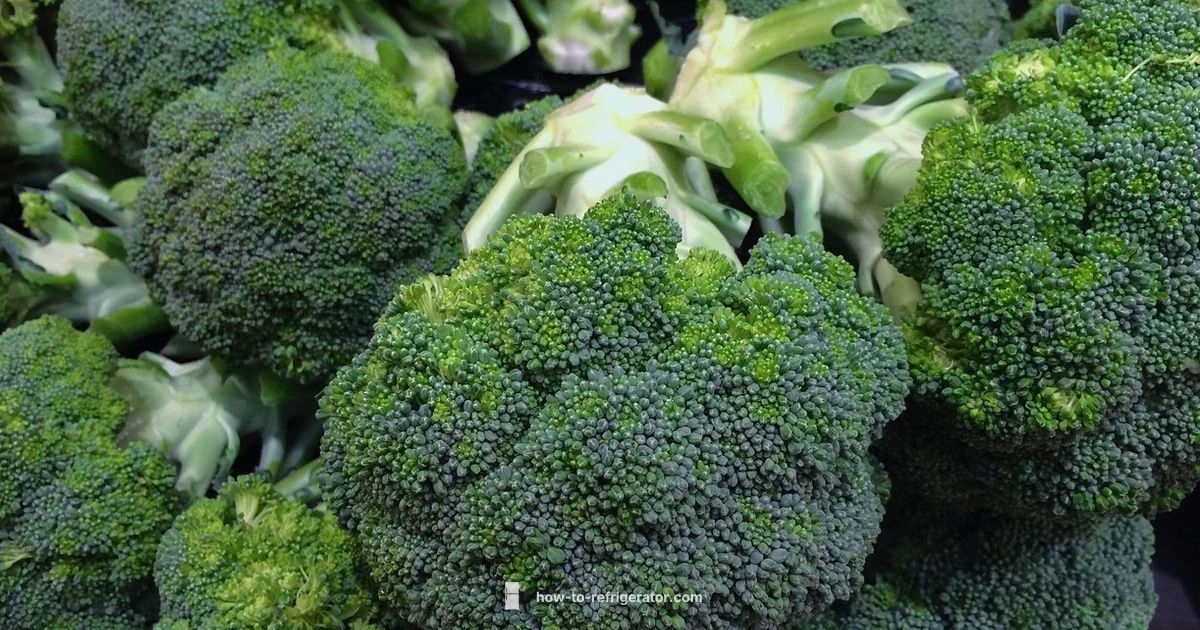 Broccoli Freshness - How To Refrigerator