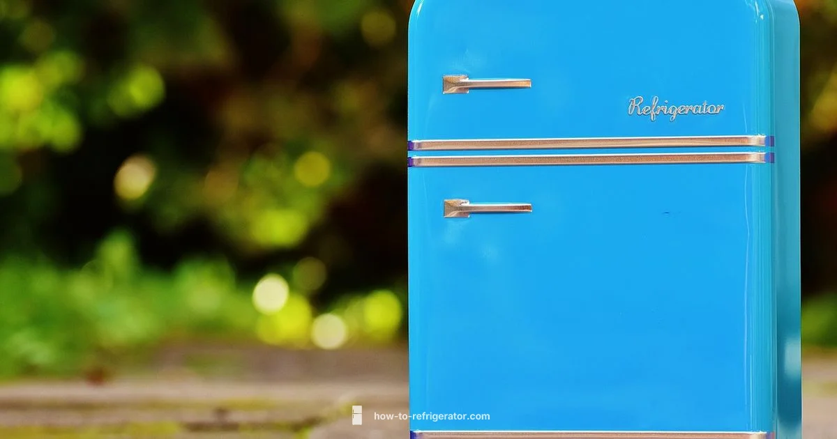 Fridge Lifespan Guide Fridge Lifespan Guide - How To Refrigerator