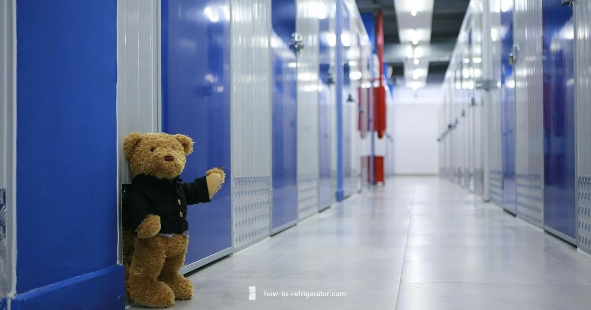 Compact Mini Fridge Guide Compact Mini Fridge Guide - How To Refrigerator