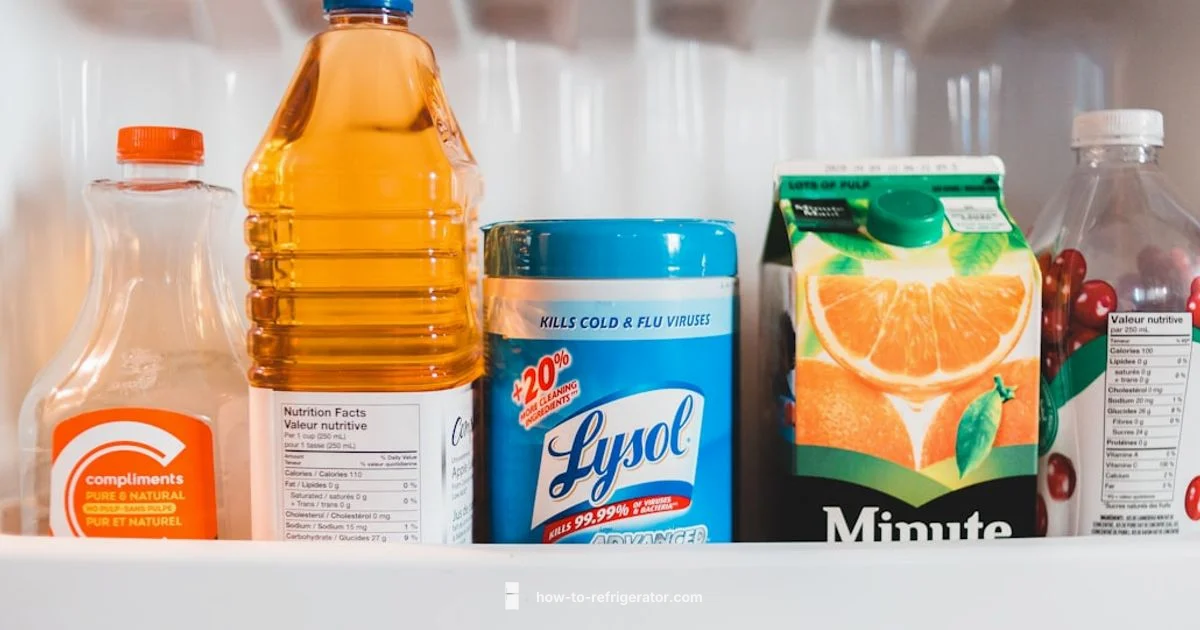 Fridge Leak Guide Fridge Leak Guide - How To Refrigerator