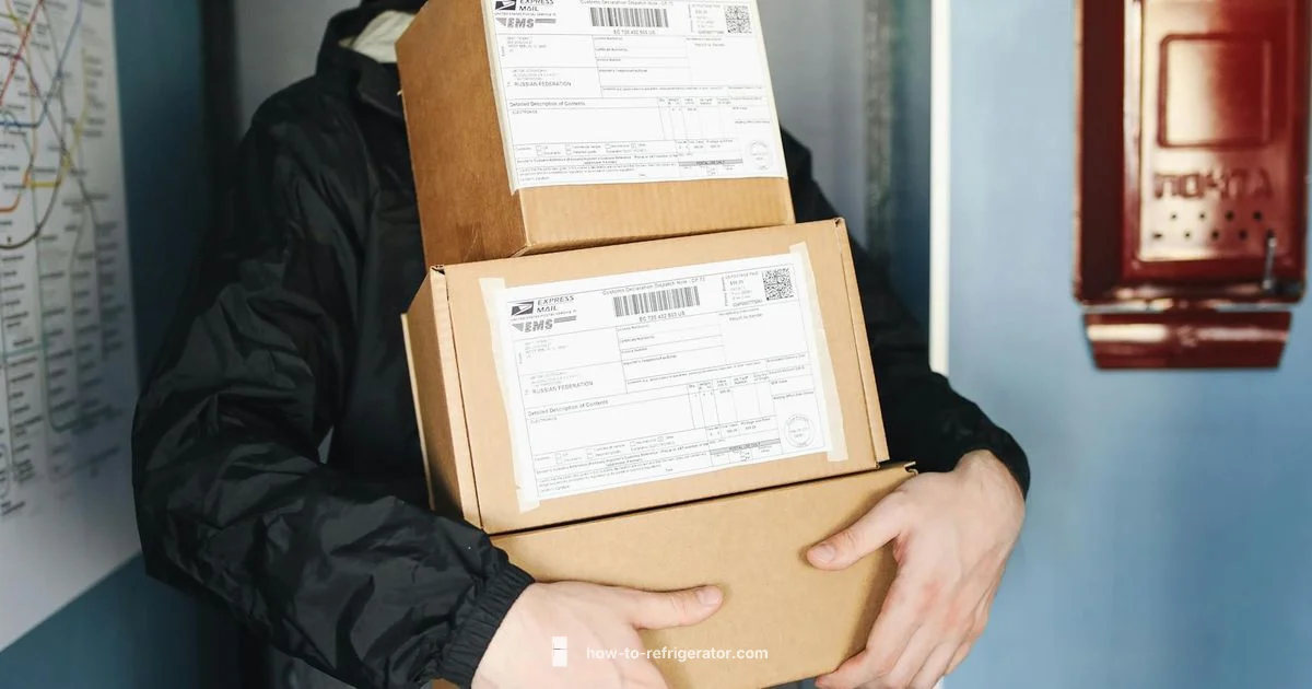 Moving a Fridge In Moving a Fridge In - How To Refrigerator