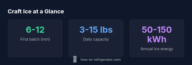 Craft ice statistics infographic