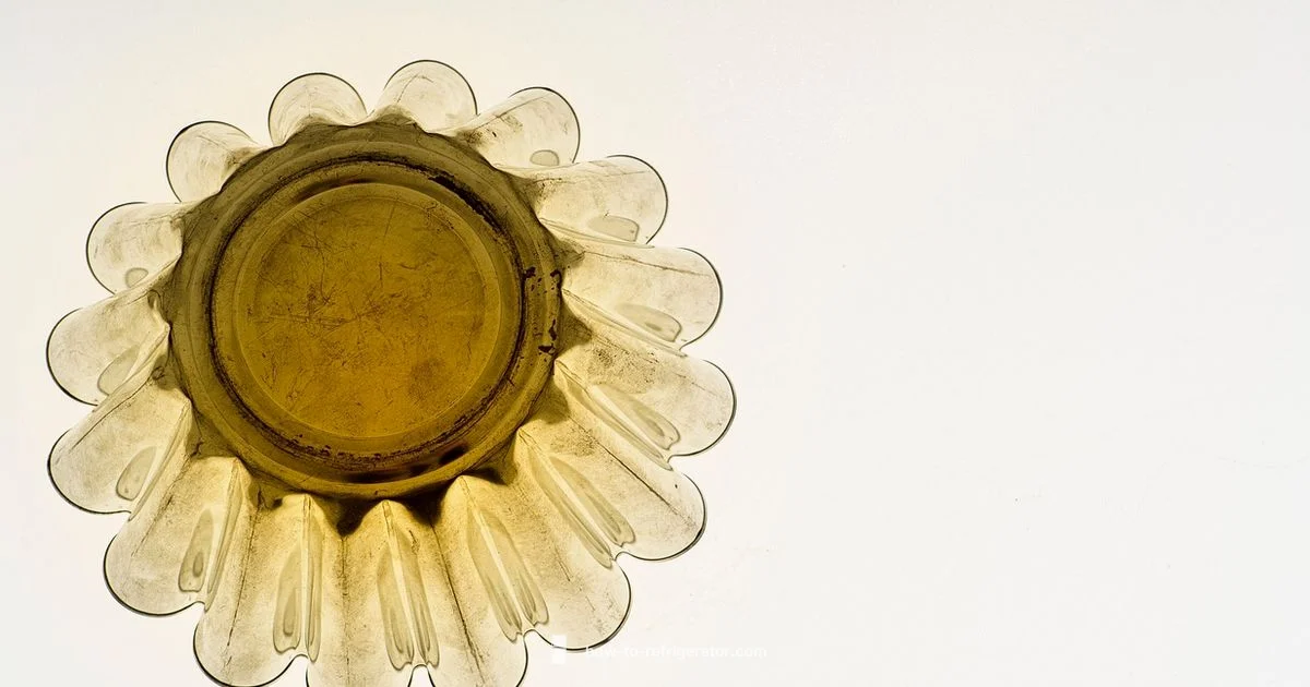 Fridge Mold Prevention Fridge Mold Prevention - How To Refrigerator