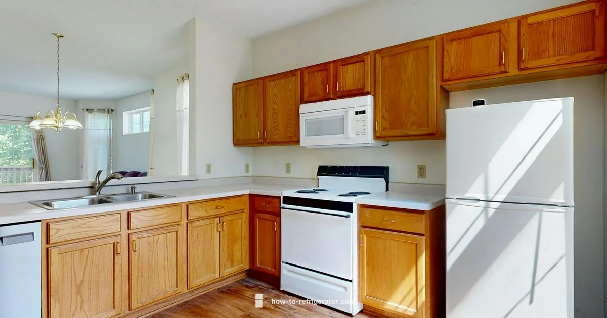 Fridge Odor Prevention Fridge Odor Prevention - How To Refrigerator