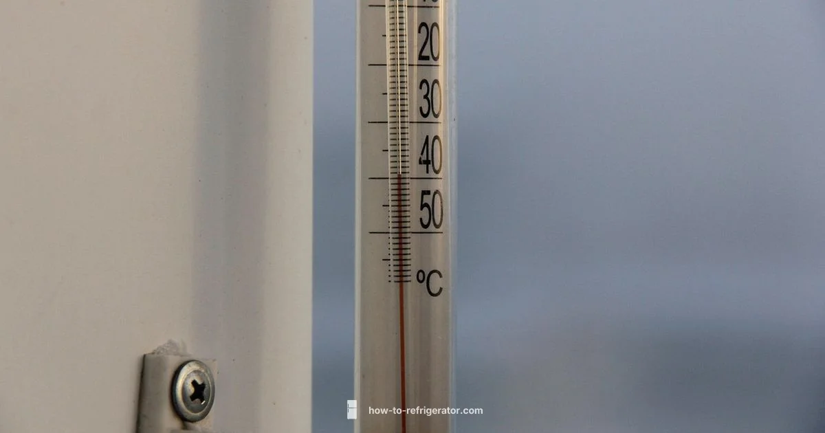 Test Fridge Temp - How To Refrigerator