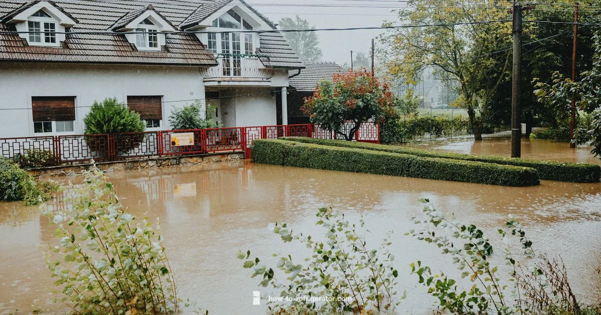 Flood-Safe Fridge Setup - How To Refrigerator
