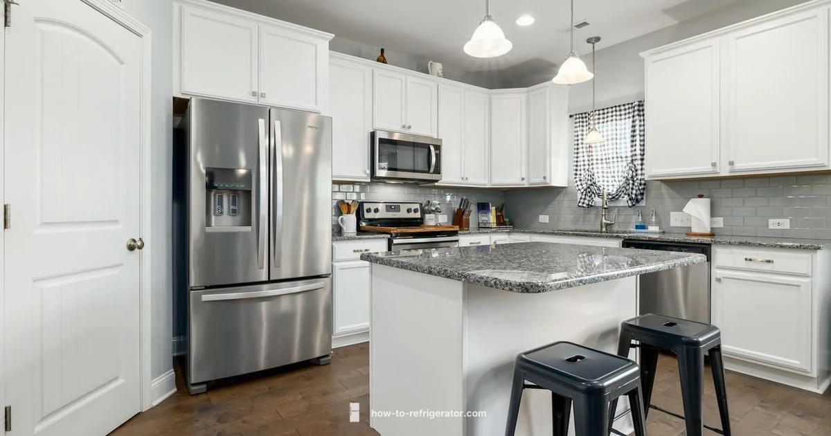 Deodorizer Use Guide - How To Refrigerator