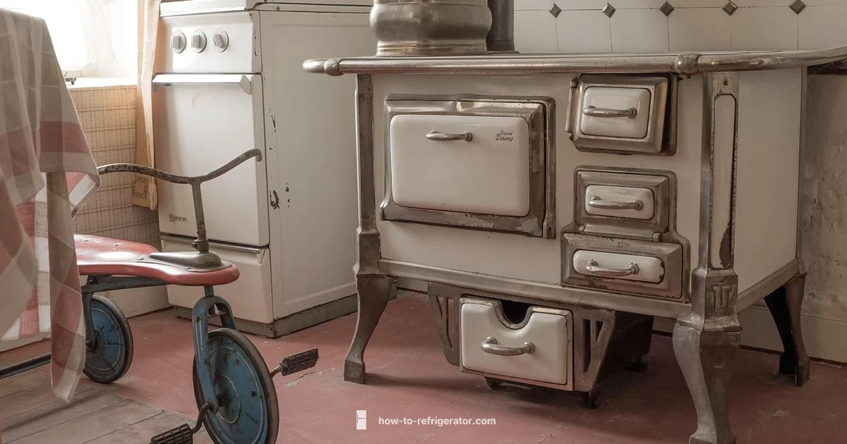 Wheeled Fridge Guide - How To Refrigerator