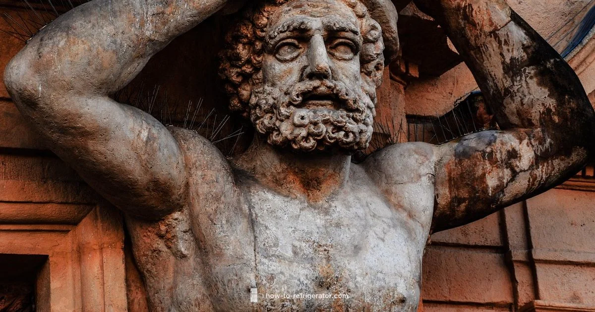 French Door Fix - How To Refrigerator