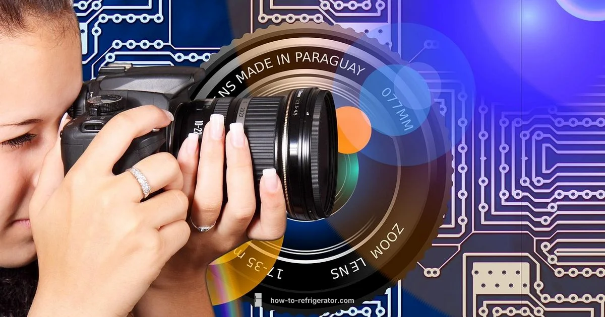 Fridge Circuit Guide - How To Refrigerator