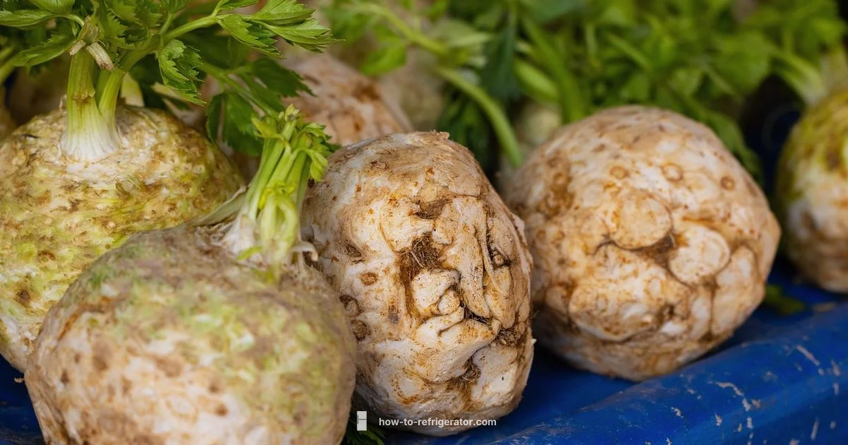 Celery Freshness Guide - How To Refrigerator