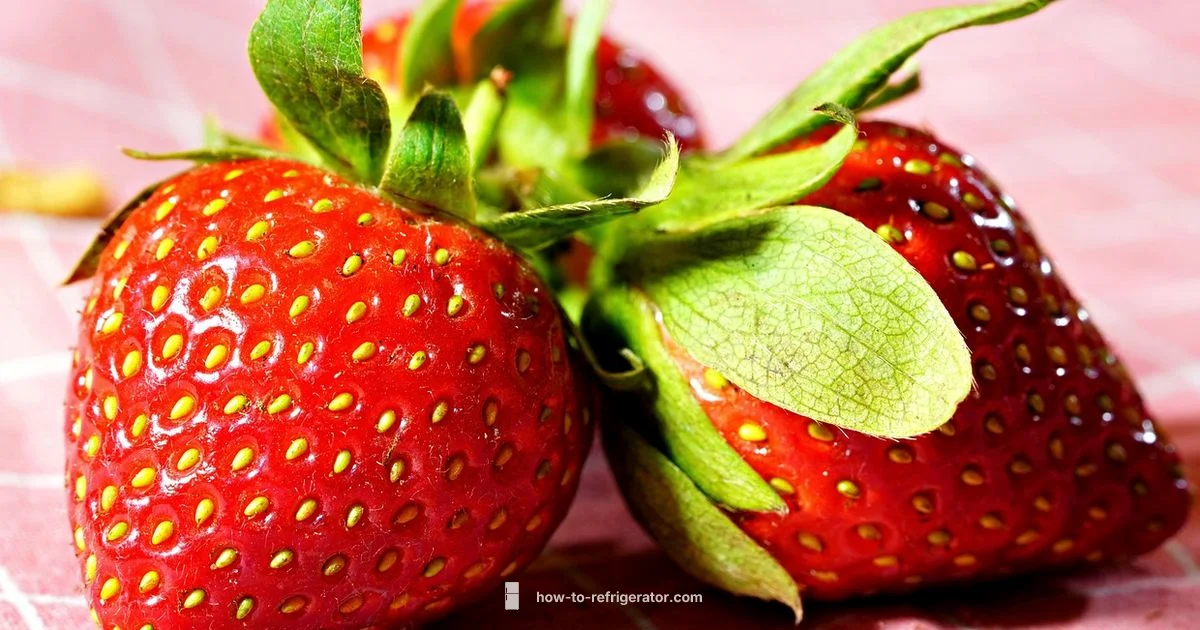 Chilled Berries - How To Refrigerator