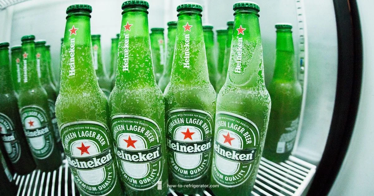 Frost Fix Guide - How To Refrigerator