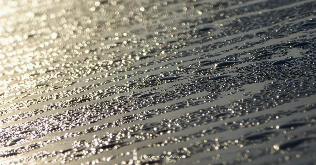 Humidity vs Fridge Cooling - How To Refrigerator