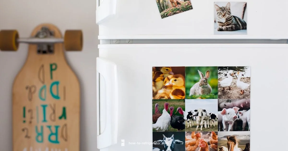 Fridge Fix Guide - How To Refrigerator