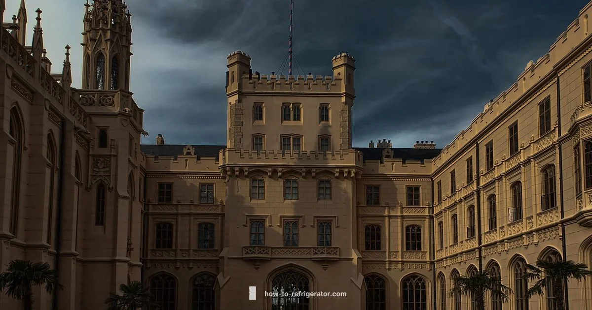 Fridge in Spanish - How To Refrigerator