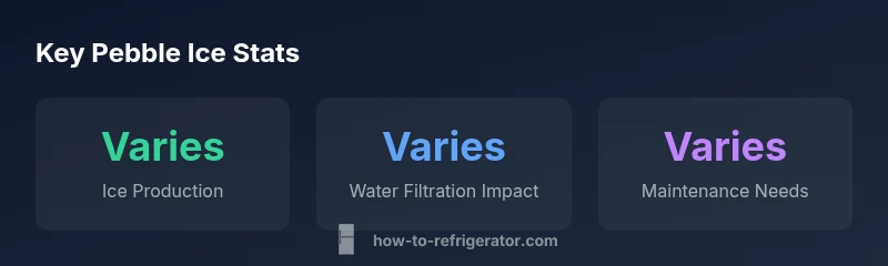 Infographic showing pebble ice production options and maintenance