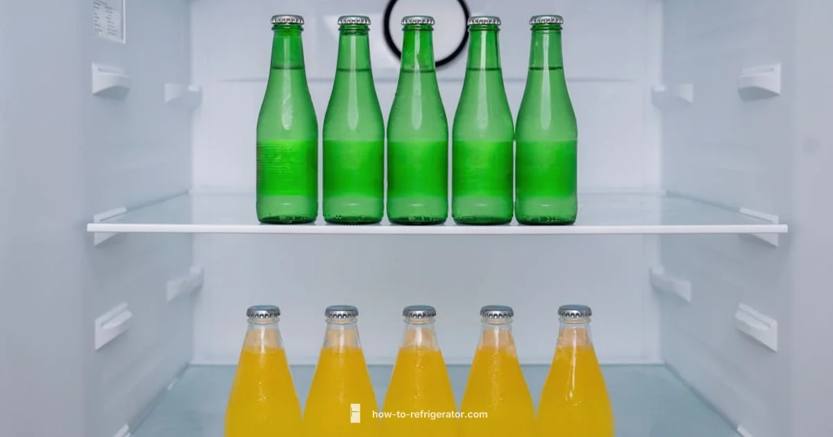 The Refrigerator Perry The Refrigerator Perry - How To Refrigerator